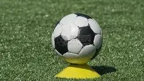 “二十八之数”