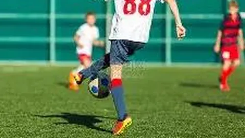 转基因玉米大豆品种审批资讯续篇