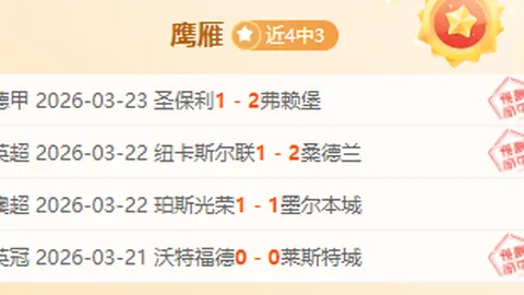 夏日激情，哈马2025璀璨启幕——哈尔滨马拉松激情奔跑